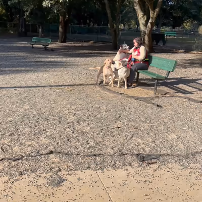 Tom Brown Dog Park